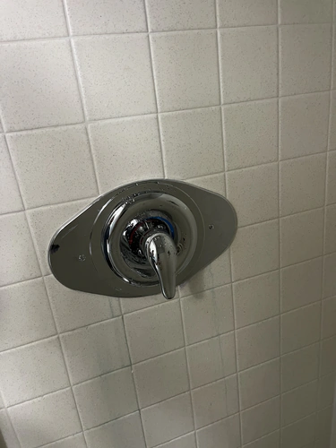 Single chrome lever handle on a wide oval escutcheon in a white tile shower wall