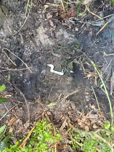 New white PVC water line with fresh cemented joints laid in the bottom of an excavated planting bed, ready to be backfilled